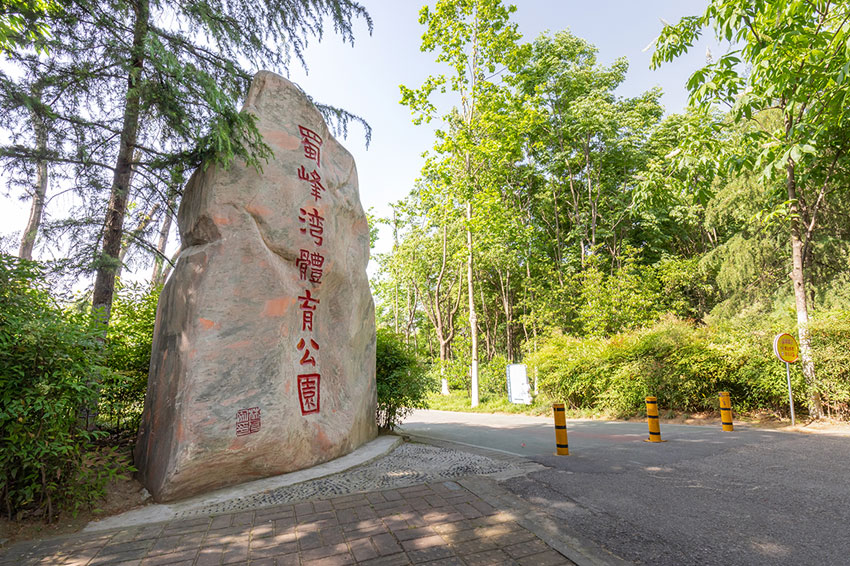 安徽綠化養護工程